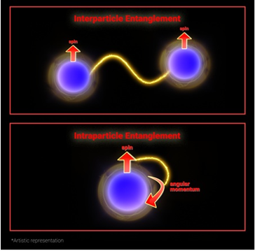 Interparticle Entanglement